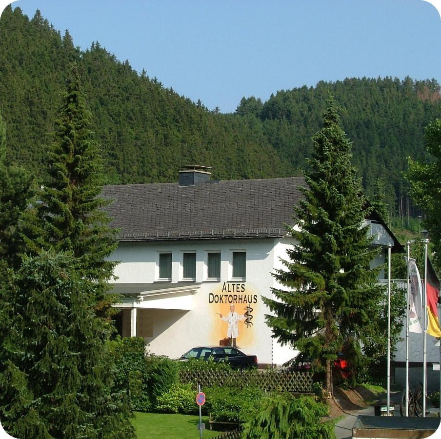 Altes Doktorhaus - Hotel Garni Willingen  Kültér fotó