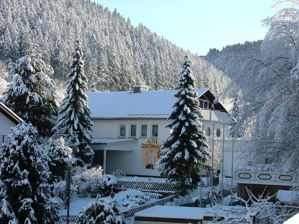 Altes Doktorhaus - Hotel Garni Willingen  Kültér fotó